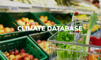 The Big Climate Database version 1.1